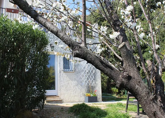 Rez De Villa Avec Beau Jardin Et Belle Vue