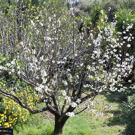 Rez De Villa Avec Beau Jardin Et Belle Vue Saint-Laurent-du-Var Exterior foto