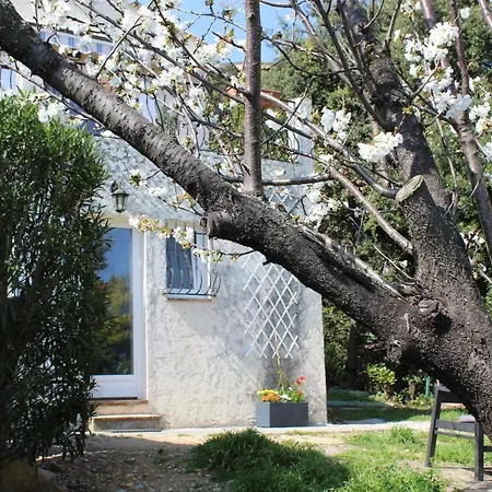 Rez De Villa Avec Beau Jardin Et Belle Vue Saint-Laurent-du-Var Exterior foto