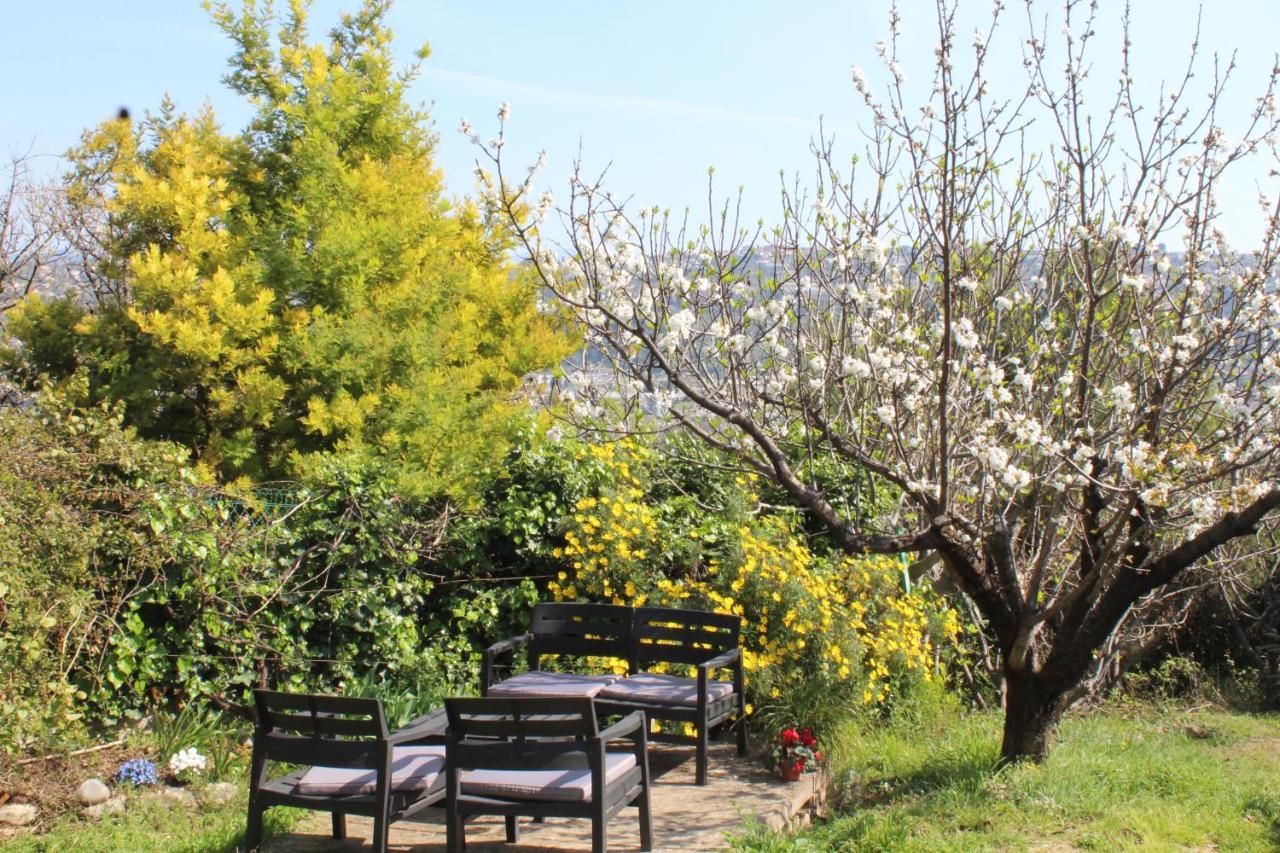 Rez De Avec Beau Jardin Et Belle Vue *