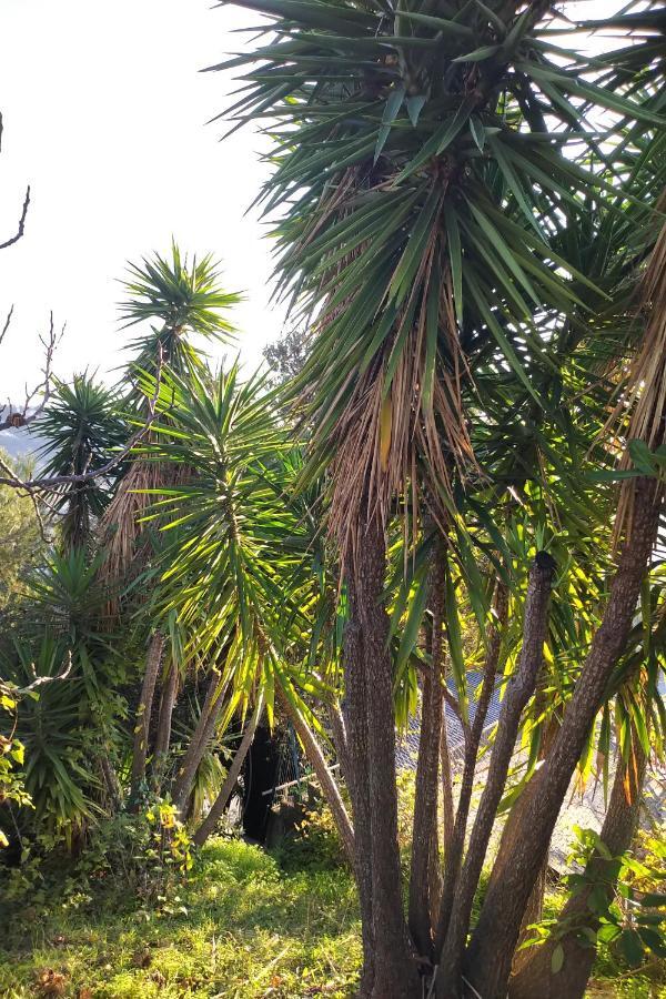 Rez De Avec Beau Jardin Et Belle Vue Casa de Férias *
